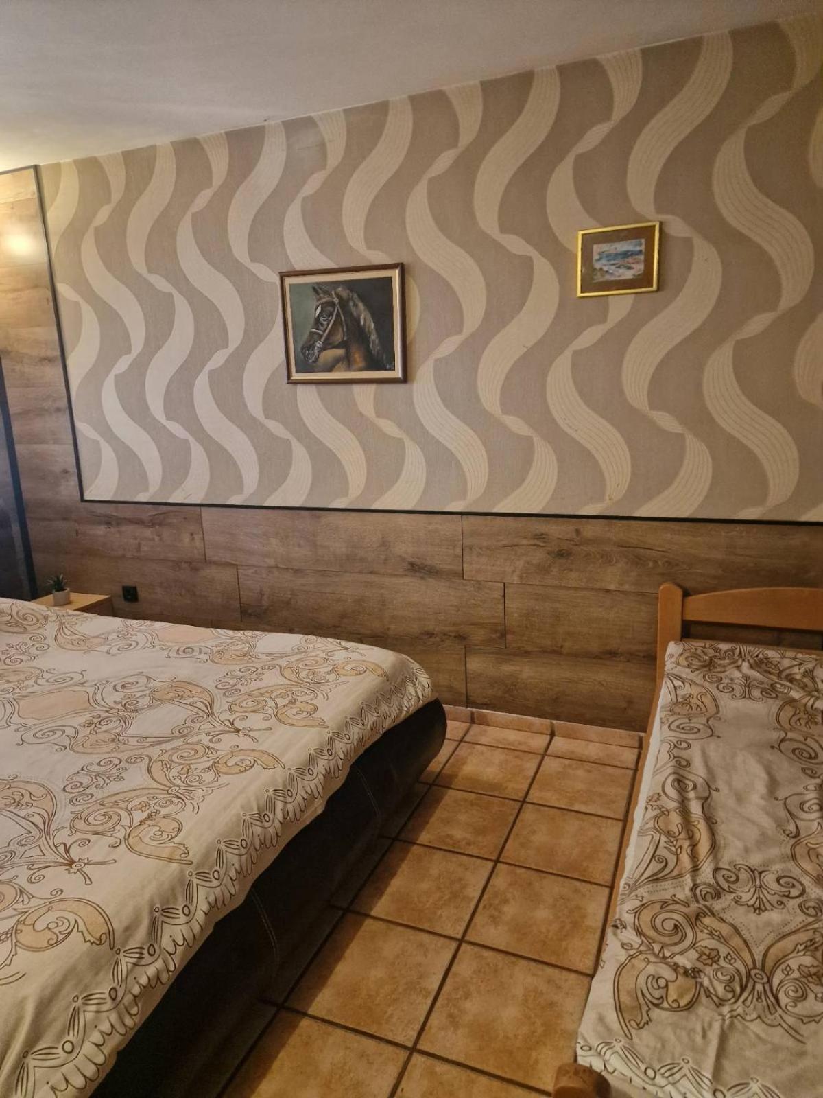 Guest House Maja Novi Sad Exterior foto