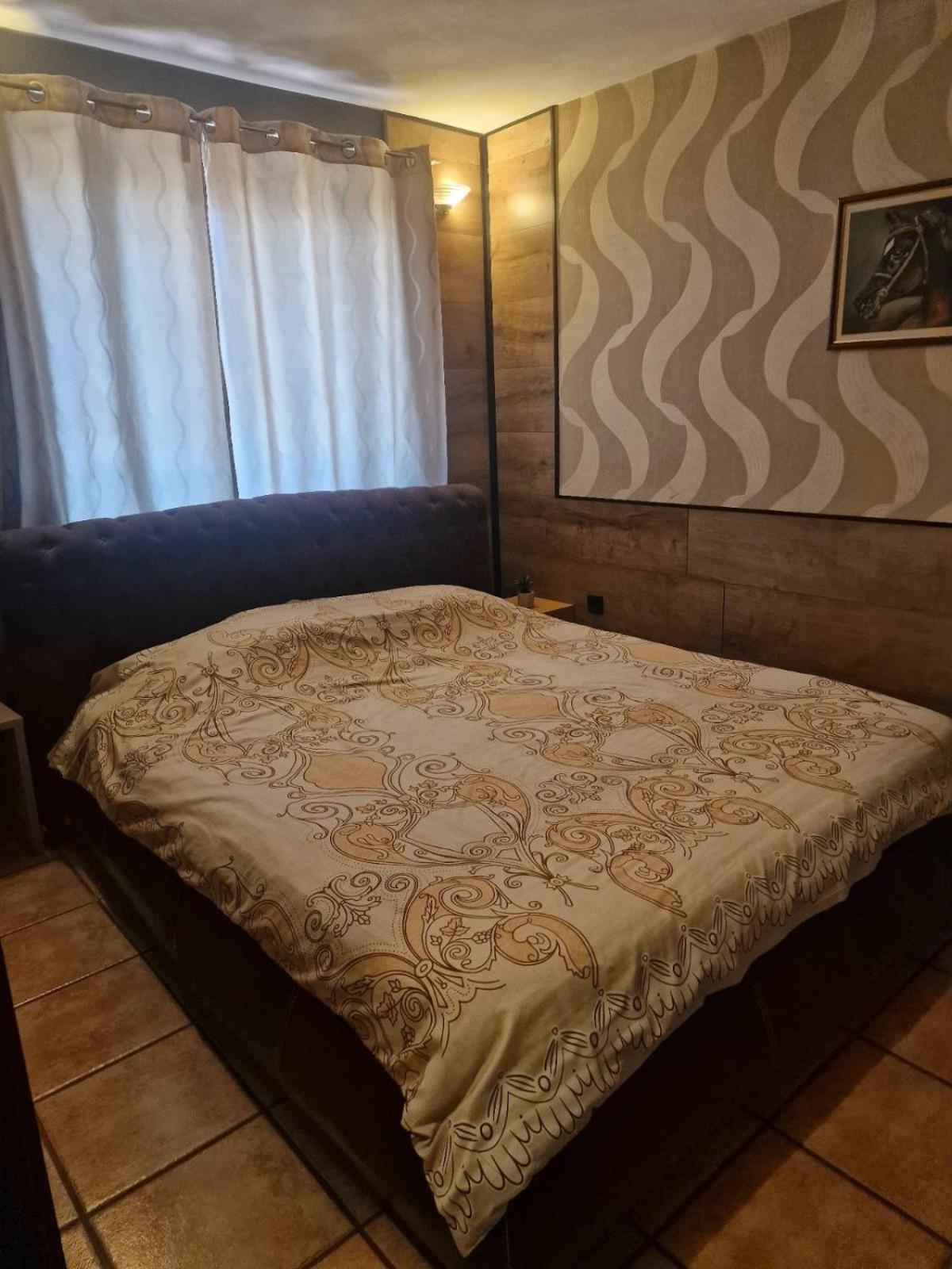 Guest House Maja Novi Sad Exterior foto